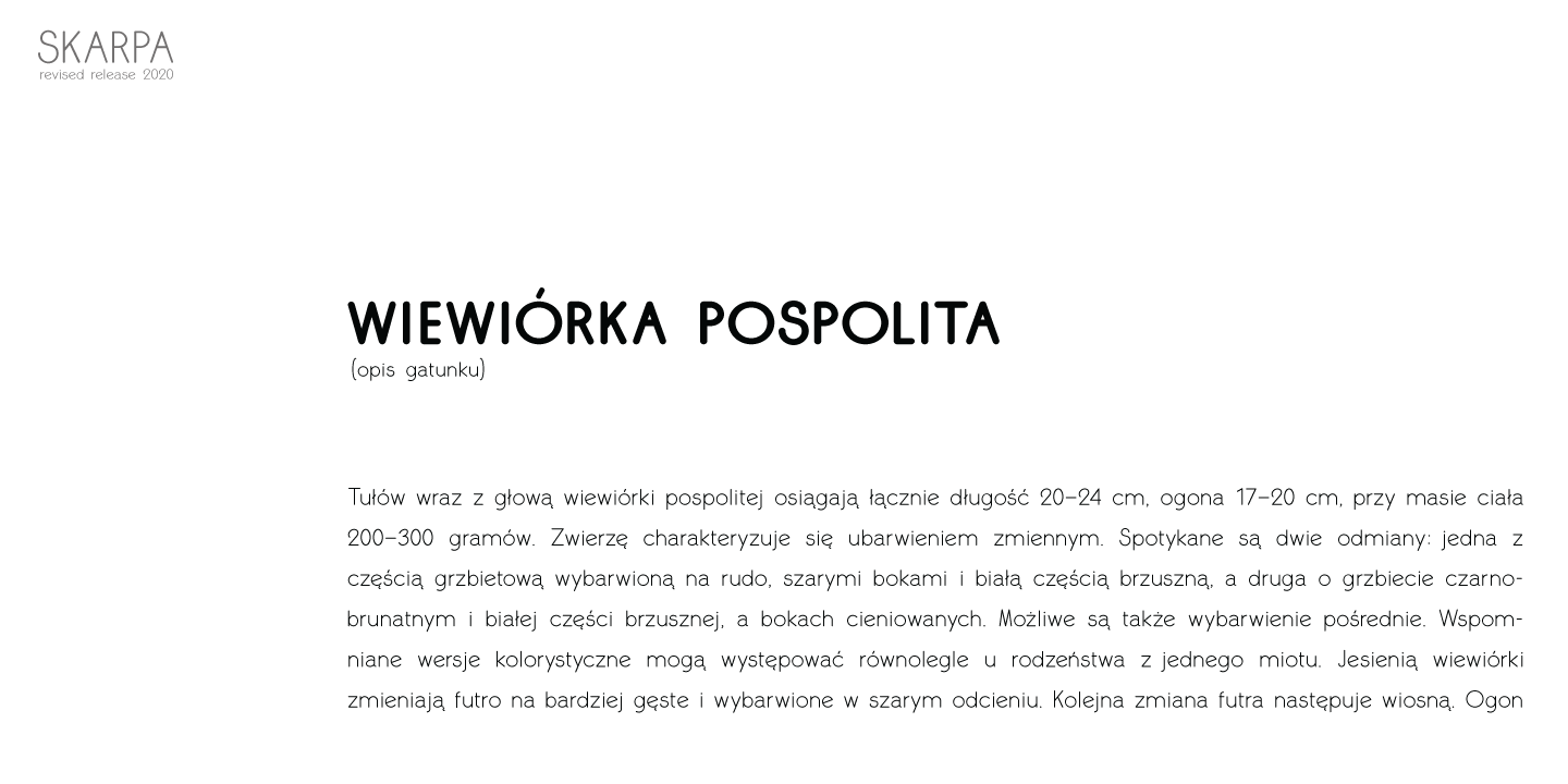 Пример шрифта Skarpa Italic
